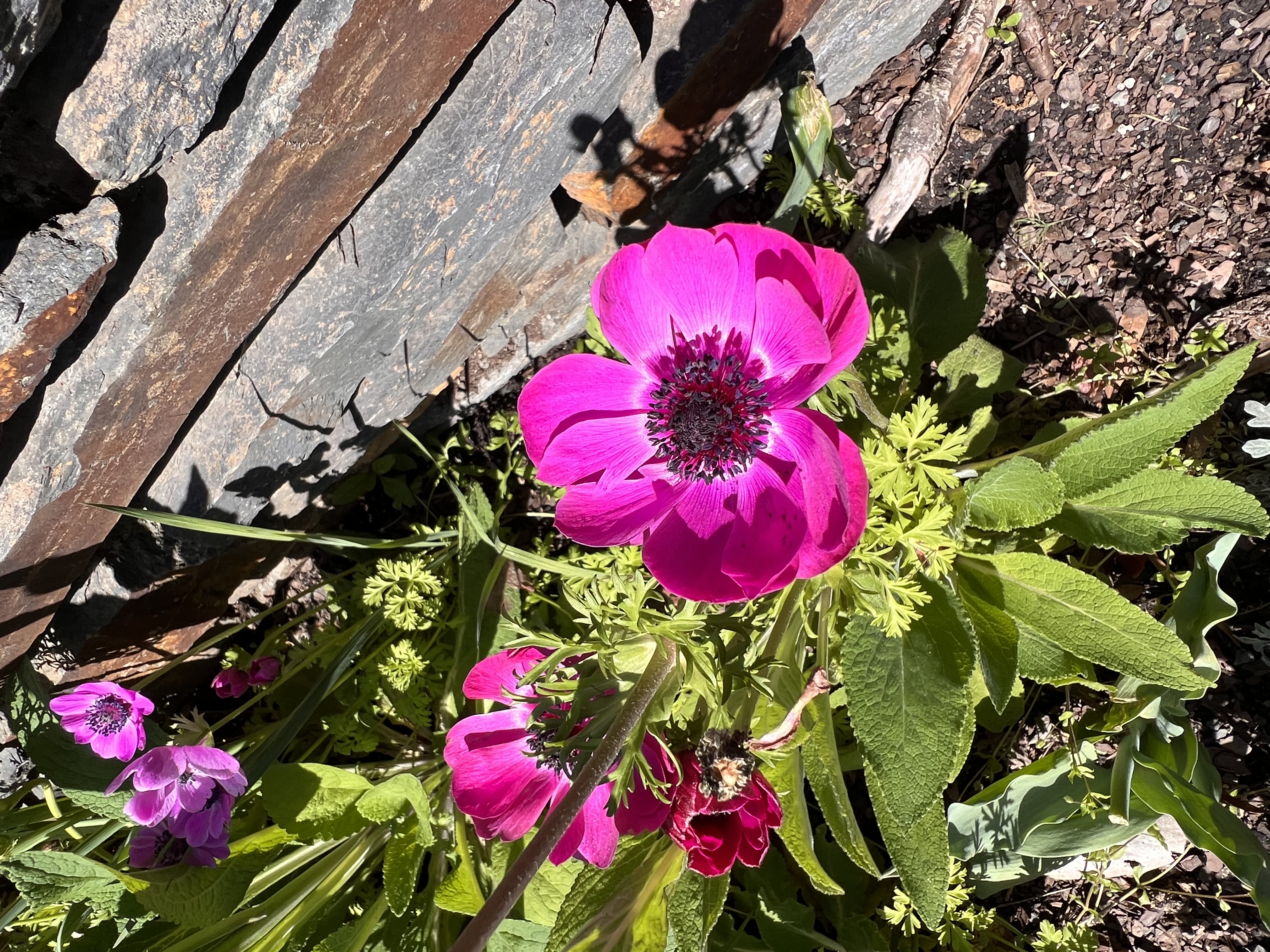 ./2023/05 - Toni Adventures/IMG_3097.JPG